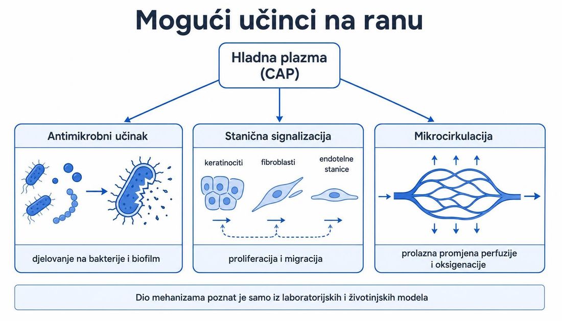 Shema triju mogućih učinaka hladne plazme na ranu: antimikrobno djelovanje na bakterije i biofilm, utjecaj na keratinocite, fibroblaste i endotelne stanice te prolazna promjena mikrocirkulacije i oksigenacije.