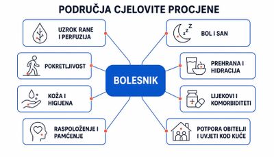 Shema područja cjelovite procjene bolesnika s kroničnom ranom: u središtu bolesnik, oko njega uzrok rane i perfuzija, bol i san, pokretljivost, prehrana i hidracija, koža i higijena, lijekovi i komorbiditeti, raspoloženje i pamćenje te potpora obitelji i uvjeti kod kuće.