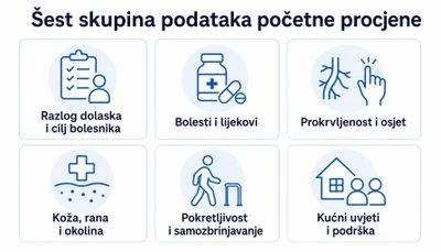 Shema šest skupina podataka početne procjene: razlog dolaska i cilj bolesnika, bolesti i lijekovi, prokrvljenost i osjet, koža i rana s okolinom, pokretljivost i samozbrinjavanje te kućni uvjeti i podrška.