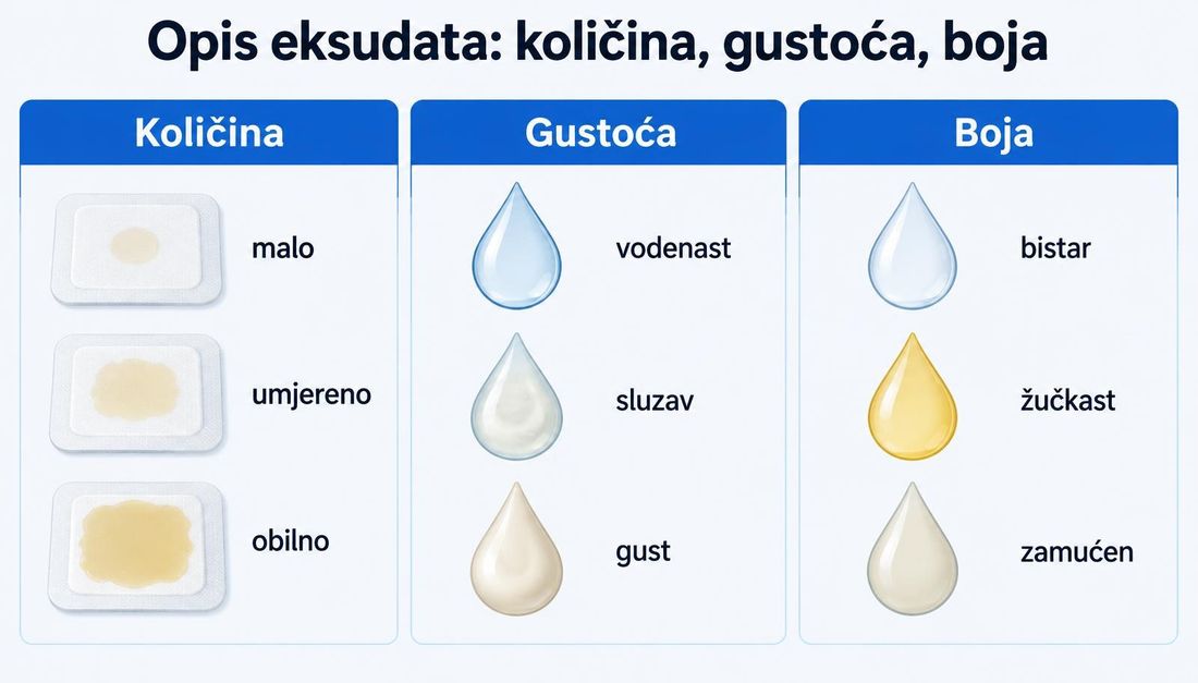 Shema opisa eksudata u tri stupca: količina od male do obilne, gustoća od vodenaste do guste i boja od bistre do zamućene, svaka razina prikazana oblogom ili kapljicom.